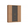 ROPERO 4 PTAS 2 CAJ ASPEN VARIOS ESTANTES 3262AAB 1,63 X 2,00 M