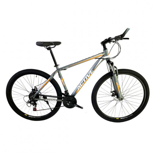 Bici hom r 29 active acero 24 cambios