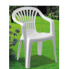 SILLA KING DE PVC BLANCO CON POSABRAZOS